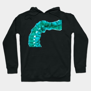 Spirogyra alga under the microscope Hoodie